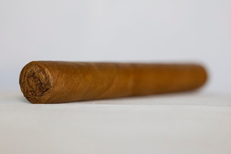 Serie 35 Connecticut Close Up Tampa, FL