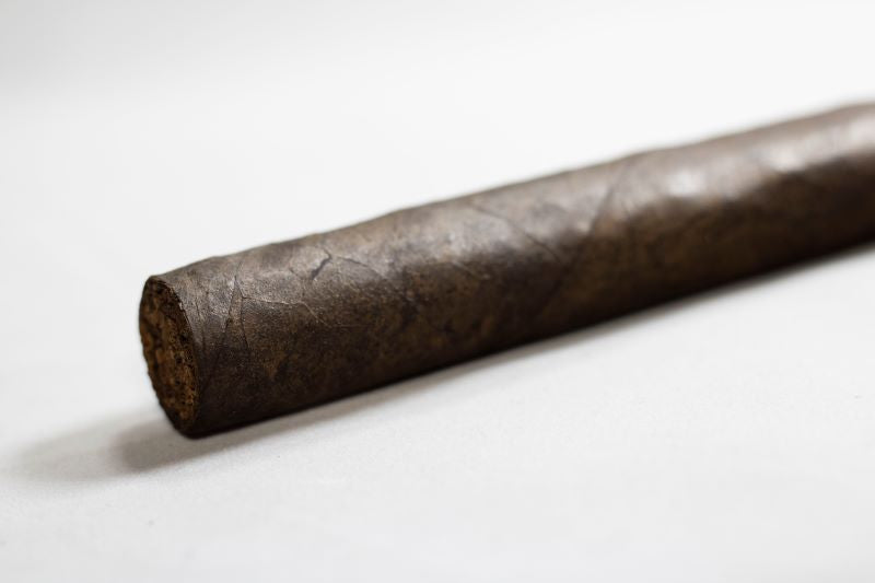 Robusto Maduro 5 x 50 Close Up Above View Tampa