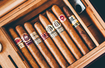 Cigars Aging in Humidor